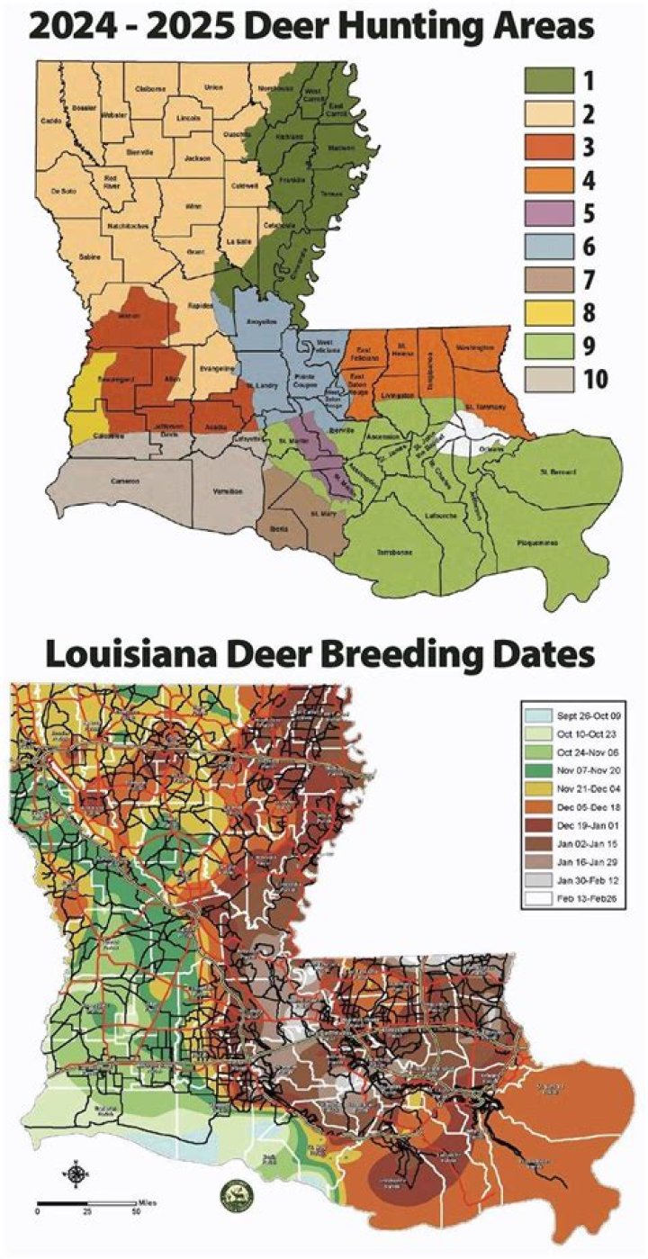 Are deer in rut in South Mississippi?