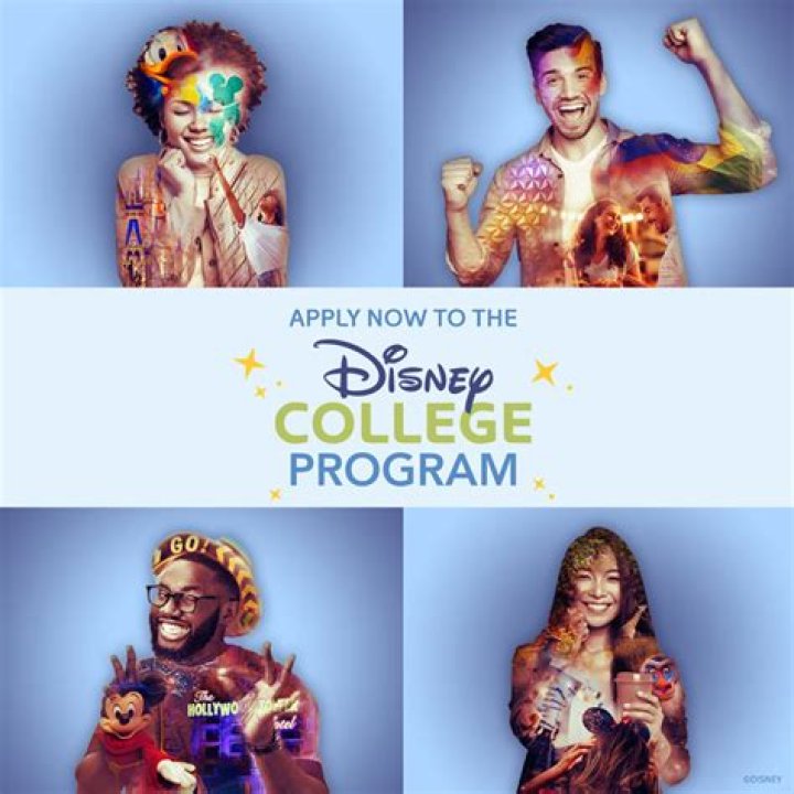 What are the chances of getting into the Disney College Program?